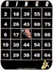 Visually Impaired Bingo Cards