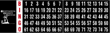 Bingo Flashboard with Control Box