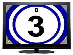 B3