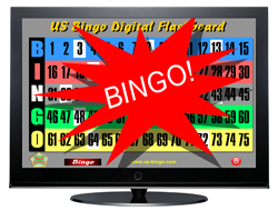 Bingo 3