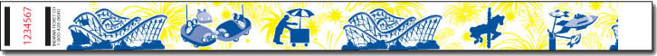 Amusement Park Tyvek Wristband