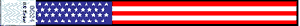 US Flag Design Tyvek Wristbands
