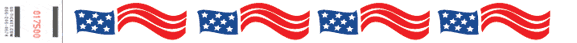 Wavey Flag Tyvek Wristband