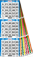 Bingo Paper