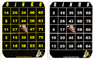 Bingo Cards for Visually Impaired